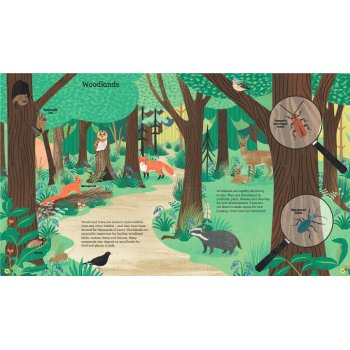 How to Help a Hedgehog and Protect a Polar Bear Paperback Book