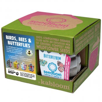 Kabloom Seedbomb Gift Set of 4 - Birds, Bees & Butterflies