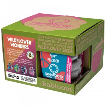 Kabloom Seedbomb Gift Set of 4 - Wildflower Wonders