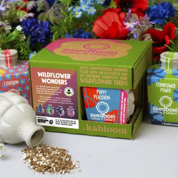 Kabloom Seedbomb Gift Set of 4 - Wildflower Wonders