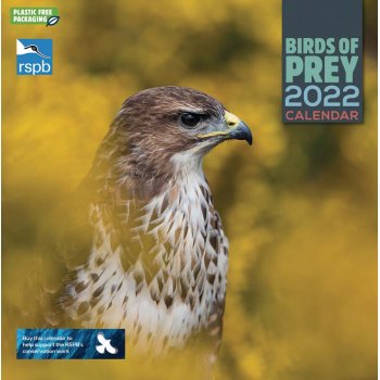 RSPB Birds of Prey 2022 Wall Calendar