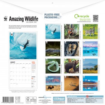 WWF Amazing Wildlife 2027 Wall Calendar