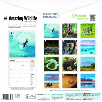 WWF Amazing Wildlife 2027 Wall Calendar