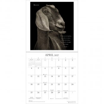 I Am Goat 2027 Wall Calendar