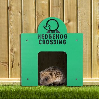 Square Hedgehog Crossing