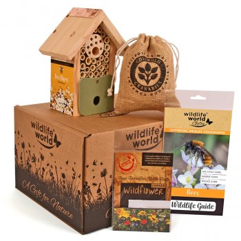 For the Love of Bees Gift Pack