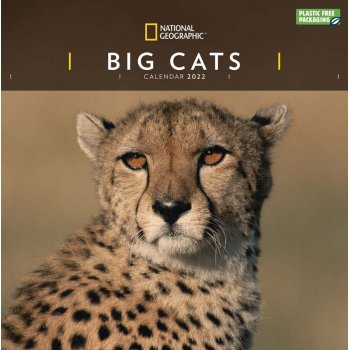 National Geographic Big Cats 2022 Wall Calendar