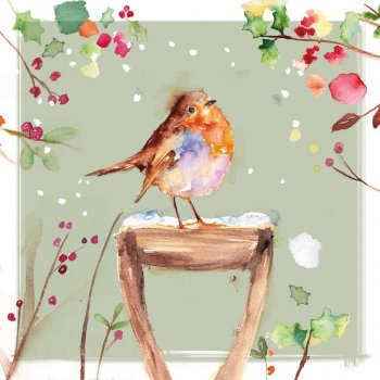 Robin on Snowy Handle Charity Christmas Cards - Pack of 10