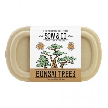 Sow & Co - Bonsai