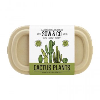 Sow & Co - Cactus