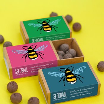 Seedball Bee Boxes - Pack of 3