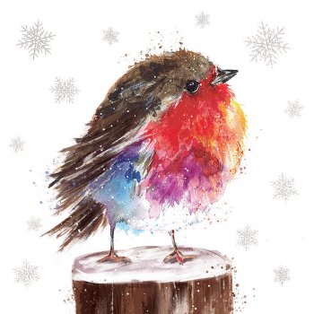 Transform Trade Fluffy Robin Charity Christmas Cards - Pack of 10