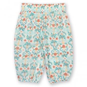 Kite Ele Oasis Pull Ups