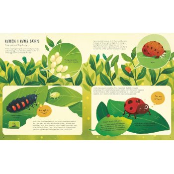 The Secret Life of Bugs Hardback Book