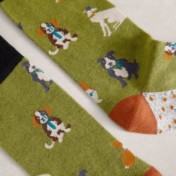 White Stuff Dapper Dogs Organic Ankle Sock