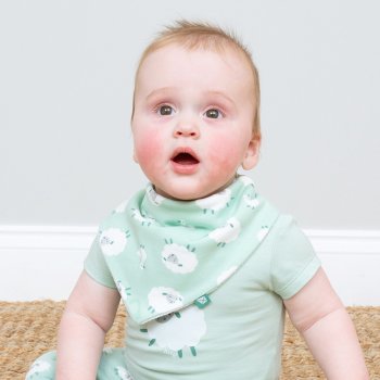 Kite Baa Baa Quack Bib