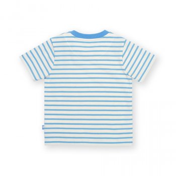 Kite Little Turtle T-Shirt