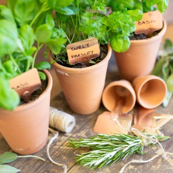 Copper Plant Labels - Set of 6