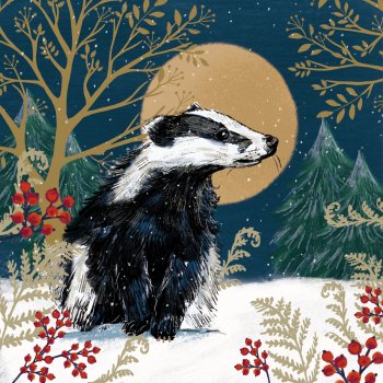 Amnesty Charity Christmas Cards - Under the Winter Moon - Pack of 10