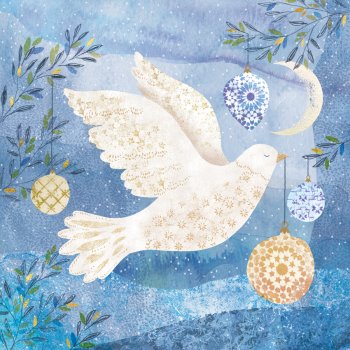 Amnesty Charity Christmas Cards - The Gift of Peace - Pack of 10