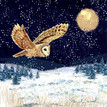 Amnesty Charity Christmas Cards - Owl Be Home for Christmas - Pack of 10