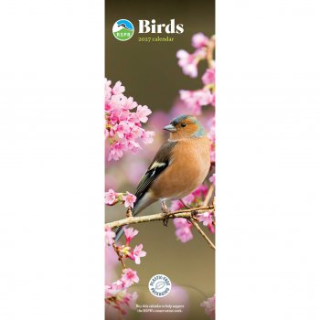 RSPB Birds 2027 Slim Wall Calendar