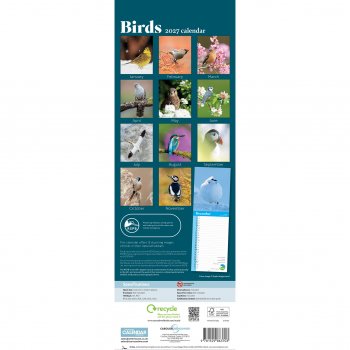 RSPB Birds 2027 Slim Wall Calendar