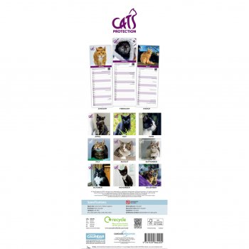 Cats Protection 2027 Slim Wall Calendar