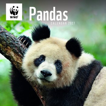 WWF Pandas 2027 Wall Calendar