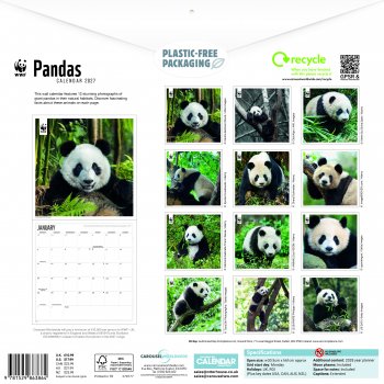 WWF Pandas 2027 Wall Calendar