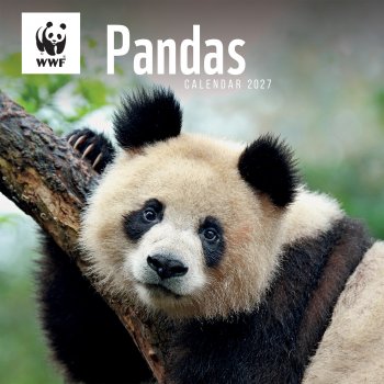 WWF Pandas 2027 Wall Calendar