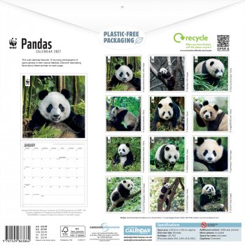 WWF Pandas 2027 Wall Calendar