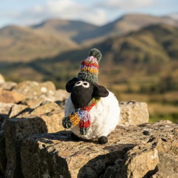 Margaret the Lakeland Sheep