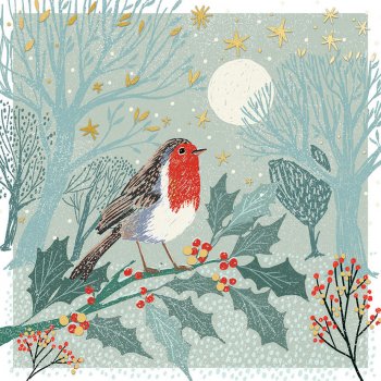 Transform Trade Over the Fields Charity Christmas Cards - Pack of 20