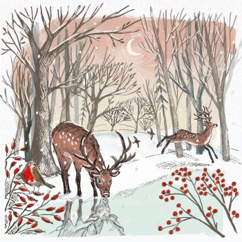 Transform Trade Over the Fields Charity Christmas Cards - Pack of 20