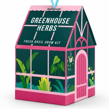 Hanging Grow Kit Gift Set - Greenhouse Herbs Basil