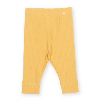 Kite Little Ted Leggings