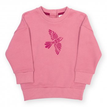 Kite Fortune Sweatshirt