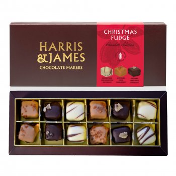 Harris & James Christmas Chocolate Enrobed Devon Fudge - 130g
