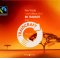 Case of 6 Traidcraft Fairtrade East Africa Gold Tea