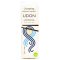 Clearspring Organic Udon Noodles - 200g
