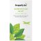 Dragonfly Teas Organic Moroccan Mint Green Tea - 20 Bags