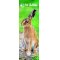 RSPB British Wildlife 2027 Slim Wall Calendar