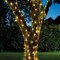 Solar Powered Warm White Firefly String Lights - 100 LEDS