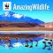 WWF Amazing Wildlife 2027 Wall Calendar