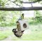 Giant Suet Ball in Feeder - 500g