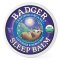 Badger Lavender & Bergamot Sleep Balm - 21g