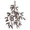 Avni Mistletoe - Antique Brass