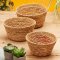 Paprhi Sari & Hogla - Set of 3 Baskets