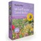 Seedball Scatter Box - Rainbow Meadow
